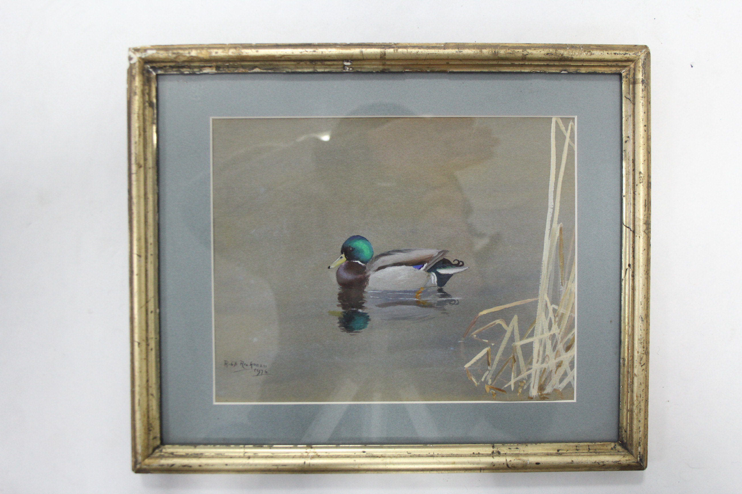 RICKMAN, Philip. (1891-1982). A mallard drake on the water. Signed & dated 1976 (?); watercolour: 7"