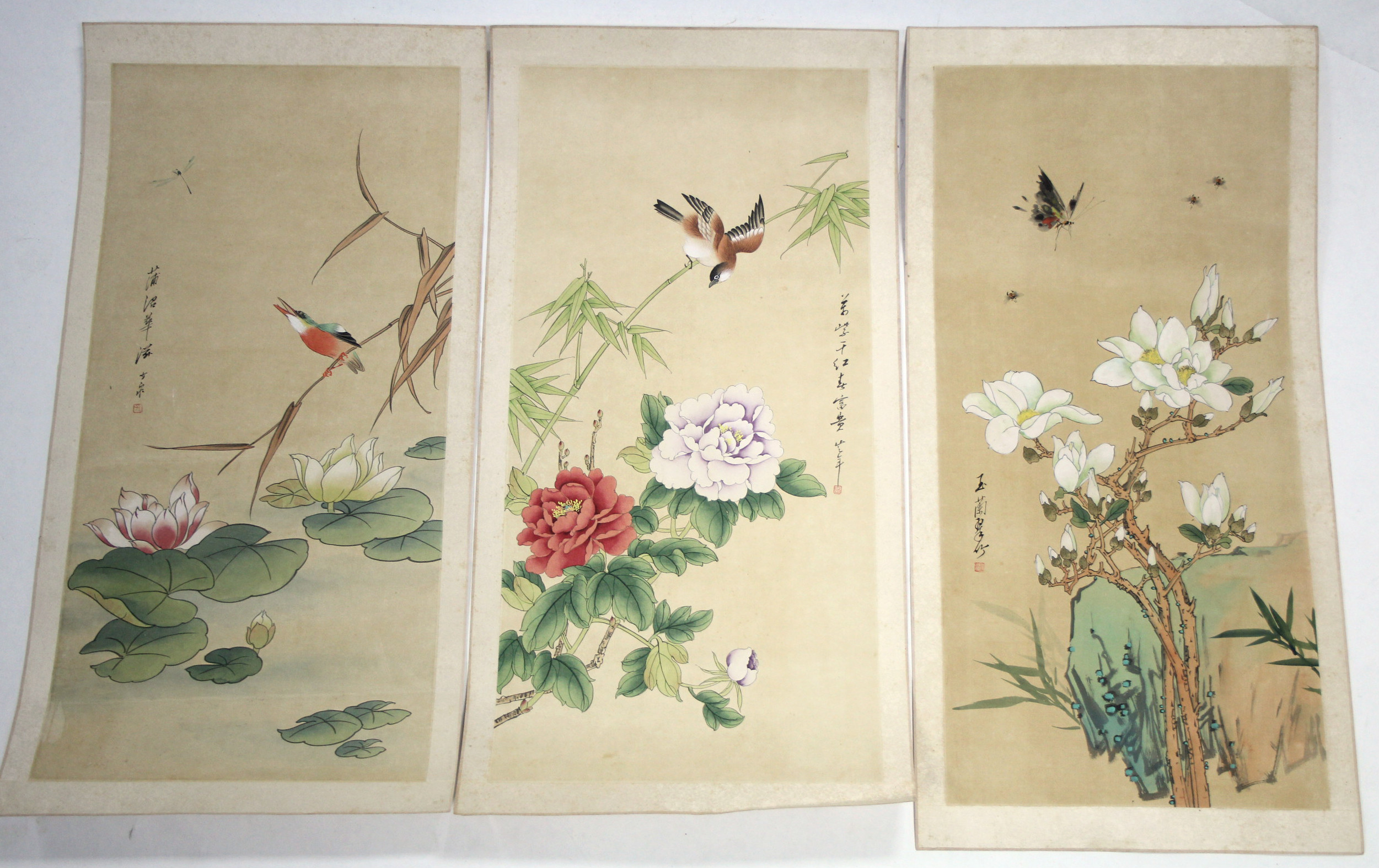 CHINESE SCHOOL A set of six scroll paintings of exotic flowers, birds, & butterflies; 26.5" x 12.5".