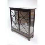 A late 19th/early 20th century mahogany china display cabinet, fitted two shelves enclosed by pair