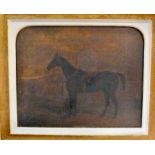 Mid 19thC British School - an equestrian study, a standing, stabled black horse oil on canvas 15.