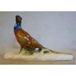 A 20thC Meissen porcelain model, a standing cock pheasant 2.