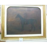 Mid 19thC British School - an equestrian study, a standing, stabled black horse oil on canvas 15.