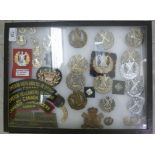 A collection of 19thC and later Cameron Highlanders military uniform badges,