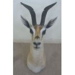 Taxidermy - a white deer with curved horns