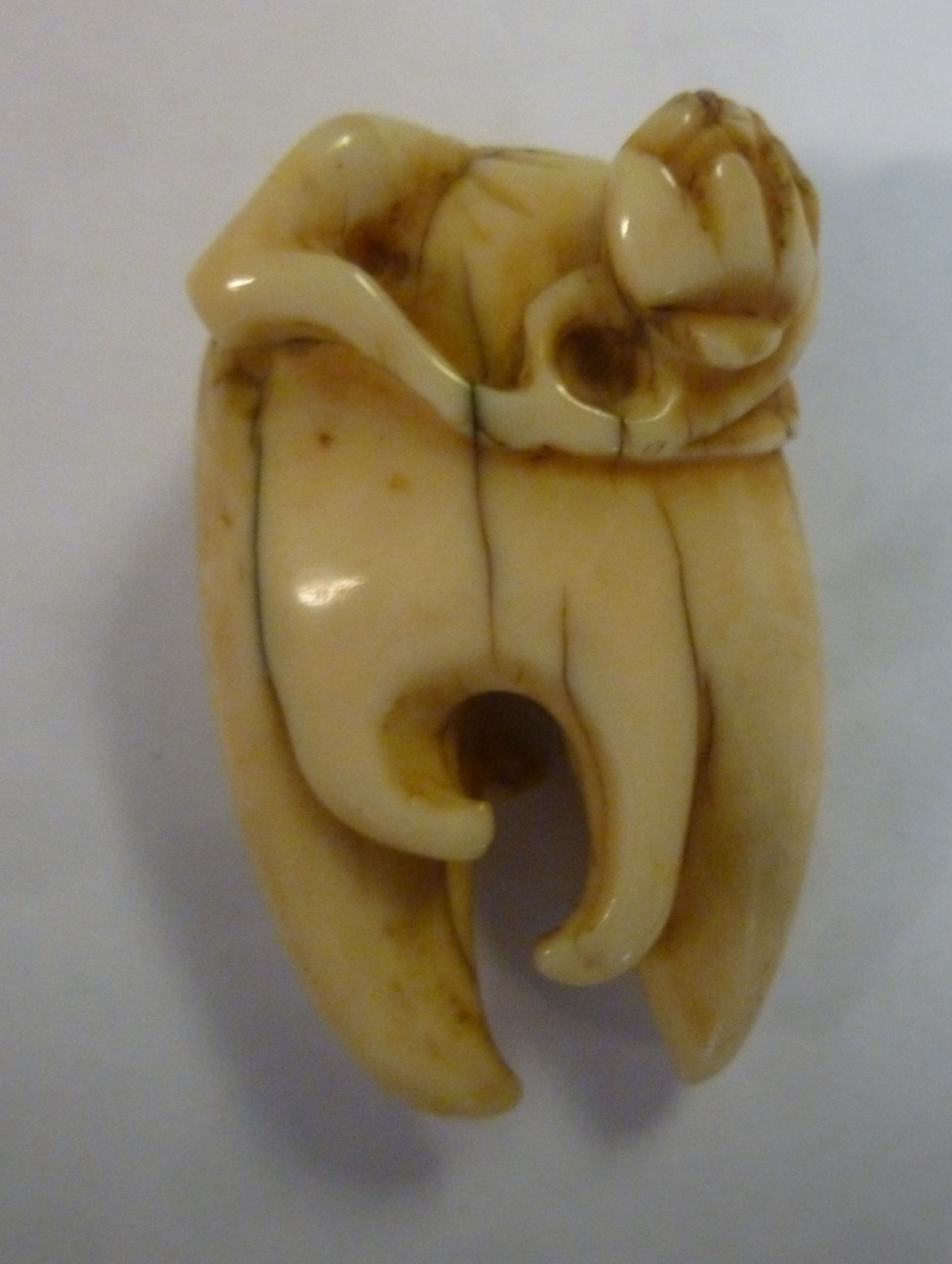A late 19th/early 20thC carved ivory lotus flower and tooth-like netsuke