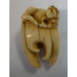 A late 19th/early 20thC carved ivory lotus flower and tooth-like netsuke