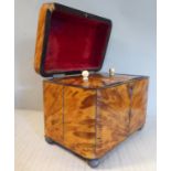 An early 19thC blonde tortoiseshell clad, box design tea casket with straight sides, a domed,