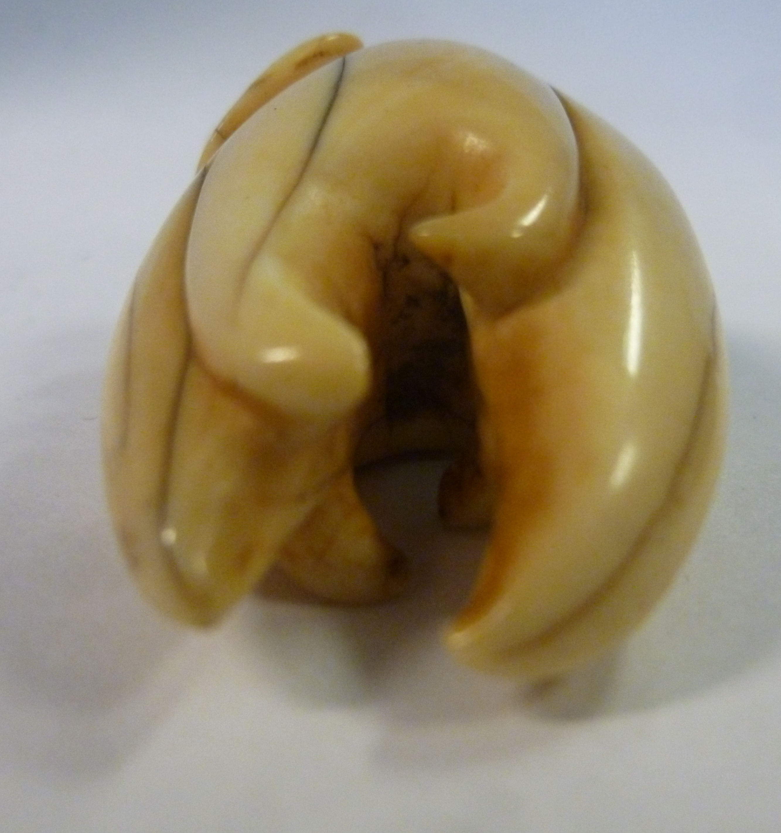 A late 19th/early 20thC carved ivory lotus flower and tooth-like netsuke - Image 4 of 4