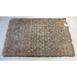 A Caucasian rug with boteh and foliage on a blue ground 77'' x 50''