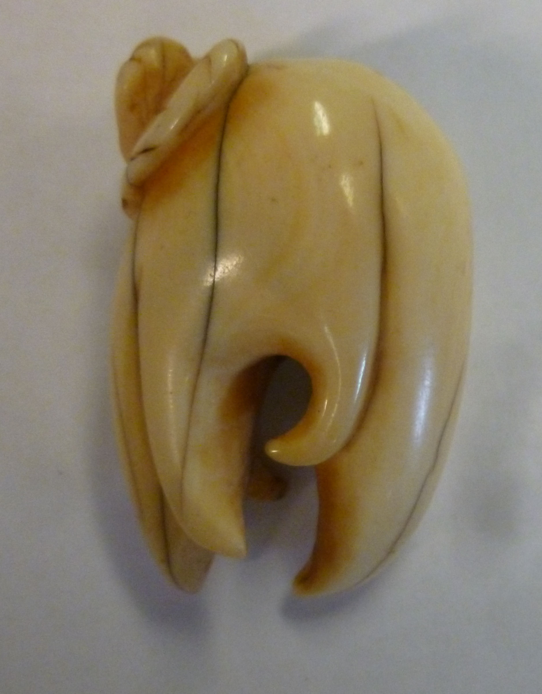 A late 19th/early 20thC carved ivory lotus flower and tooth-like netsuke - Image 3 of 4