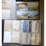 Two uncollated albums of used and unused postcards: to include wildlife,