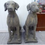 A pair of weathered composition stone terrace models, seated hounds,