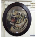 A 1920s possibly Indian School - a snarling tiger pastel 23'' x 18'' framed RSB