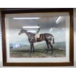 H Hall - 'Wild Dayrell' coloured engraving bears printed text 19'' x 26'' framed SR