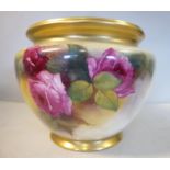 A Royal Worcester blush ivory glazed and mist gilded china jardiniere of squat, bulbous form,