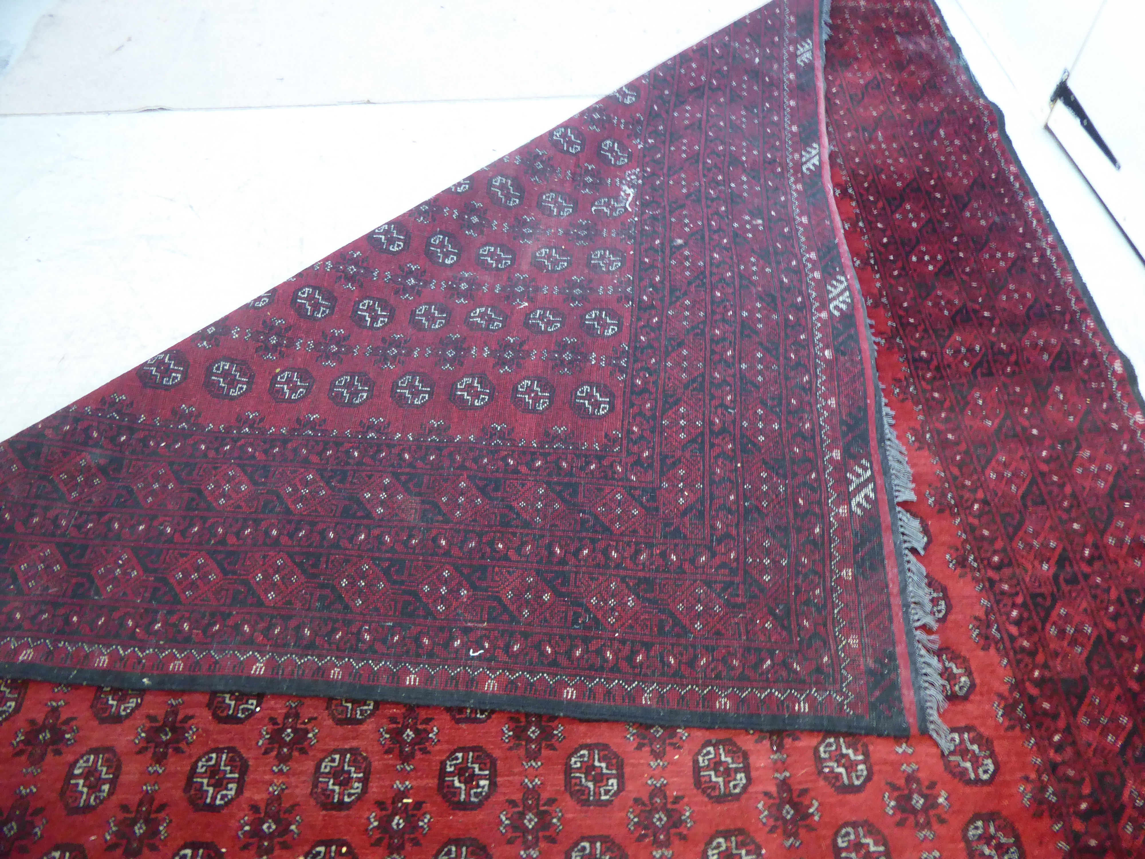 A Bokhara carpet with repeating elephant foot motifs on a red ground 137'' x 101'' - Image 10 of 12