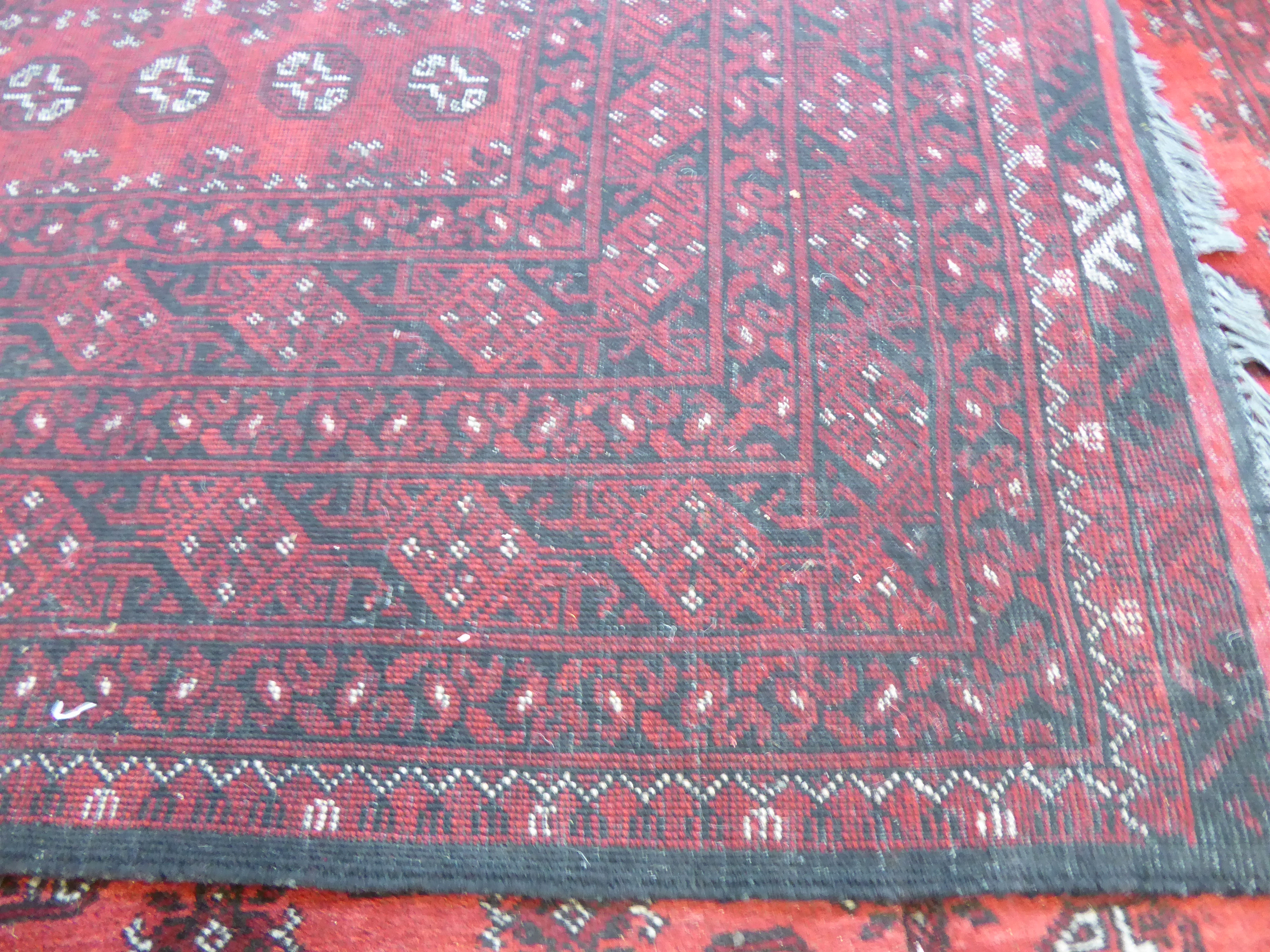 A Bokhara carpet with repeating elephant foot motifs on a red ground 137'' x 101'' - Image 11 of 12