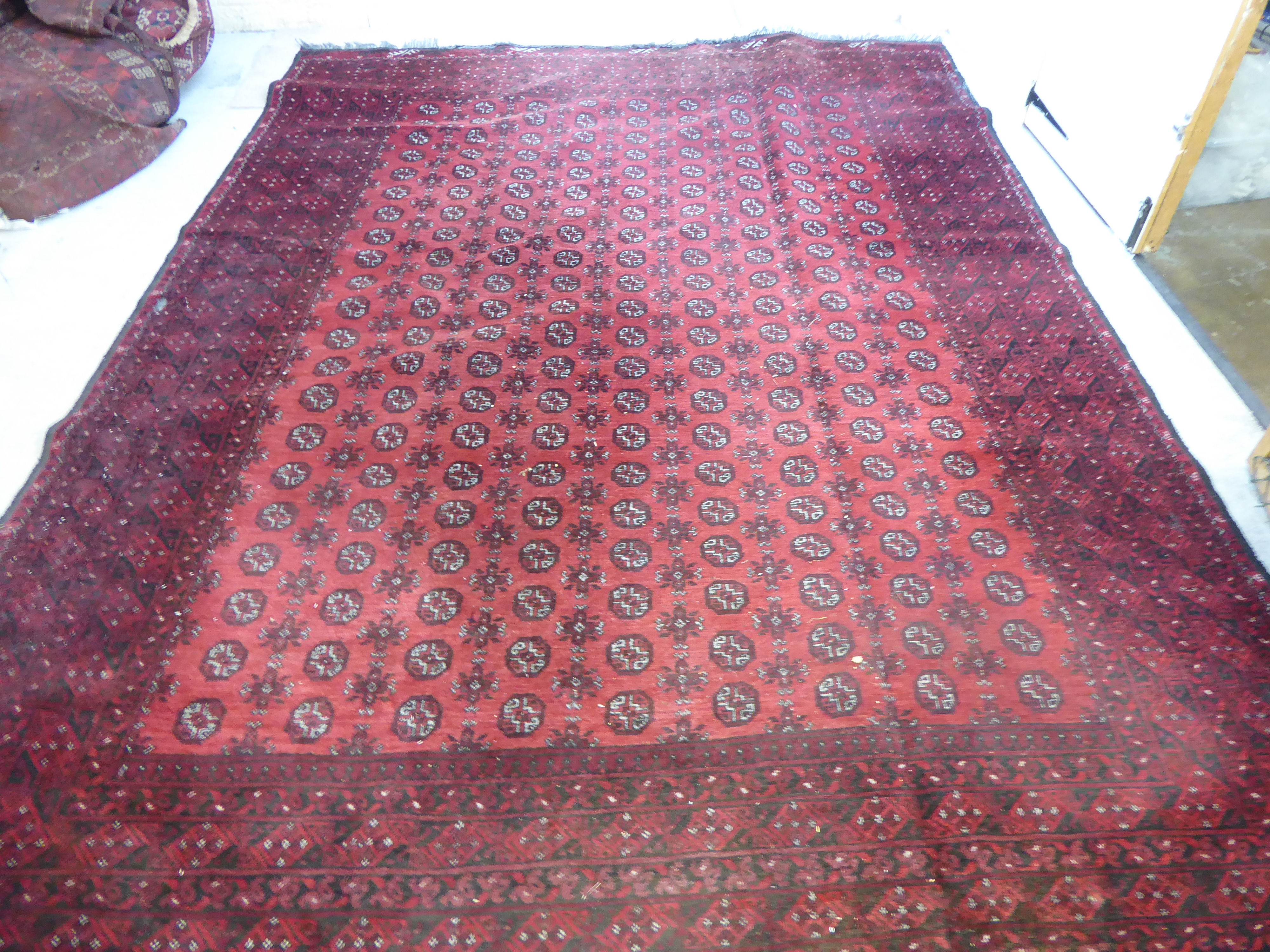 A Bokhara carpet with repeating elephant foot motifs on a red ground 137'' x 101'' - Image 3 of 12