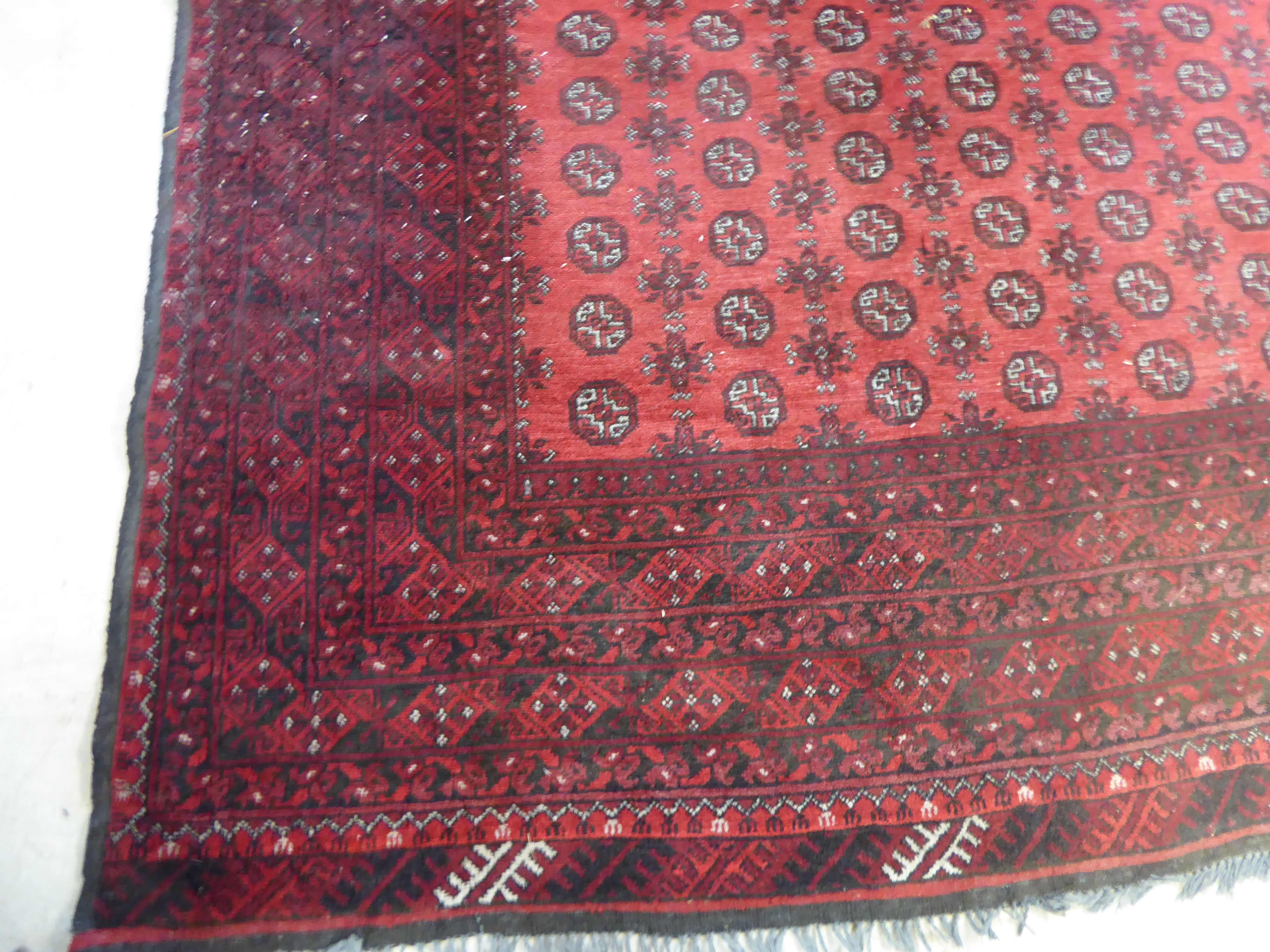 A Bokhara carpet with repeating elephant foot motifs on a red ground 137'' x 101'' - Image 5 of 12