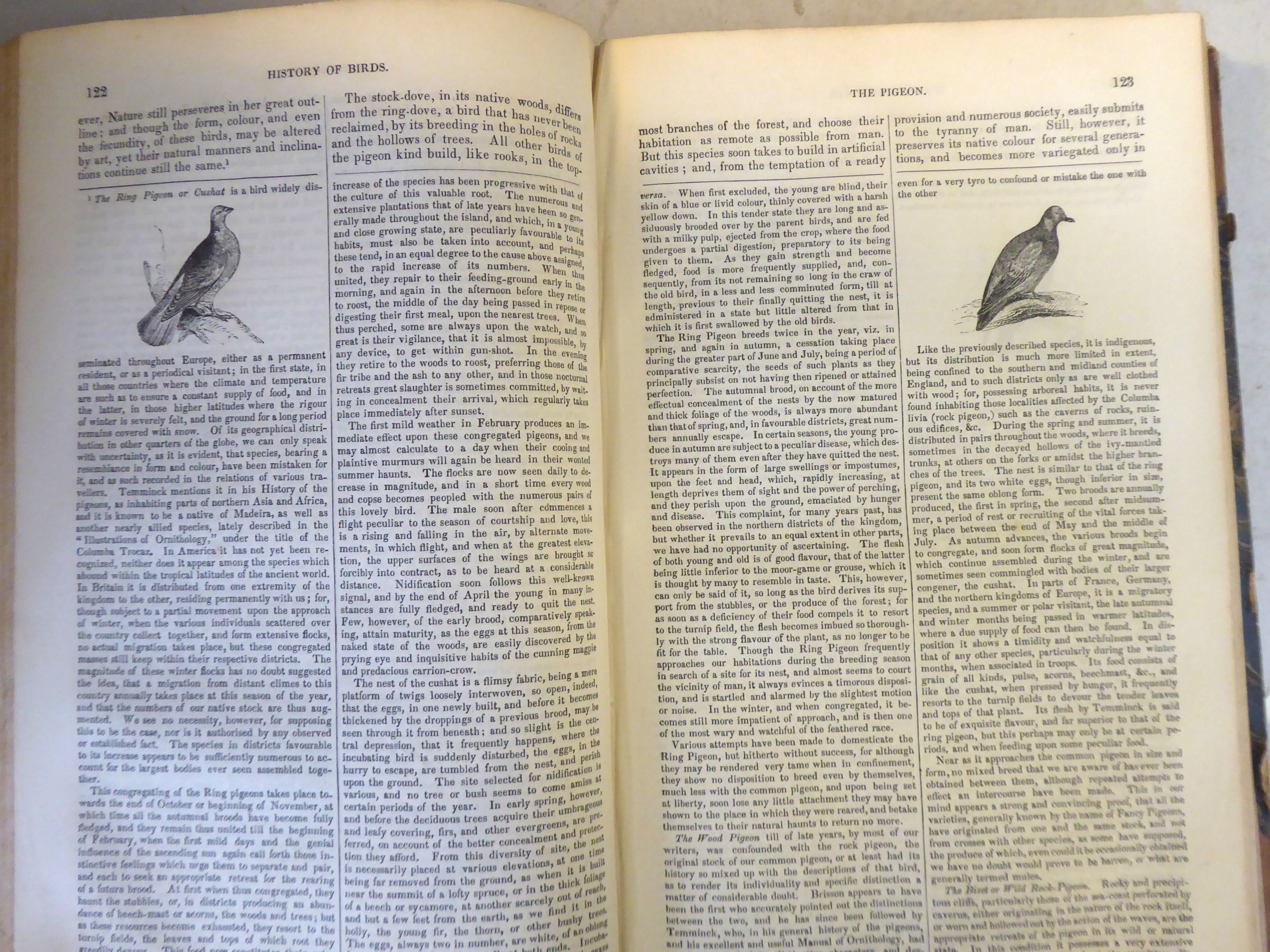 Books: 'A History of the Earth and Animated Nature' by Oliver Goldsmith with numerous notes and - Image 9 of 9