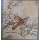 Late 19thC Chinese School - two exotic birds perched on blossoming branches watercolour 7'' x 6.