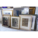 Framed pictures and prints: to include Daphne Crothall - 'Hog Weed' artist's proof bears a pencil