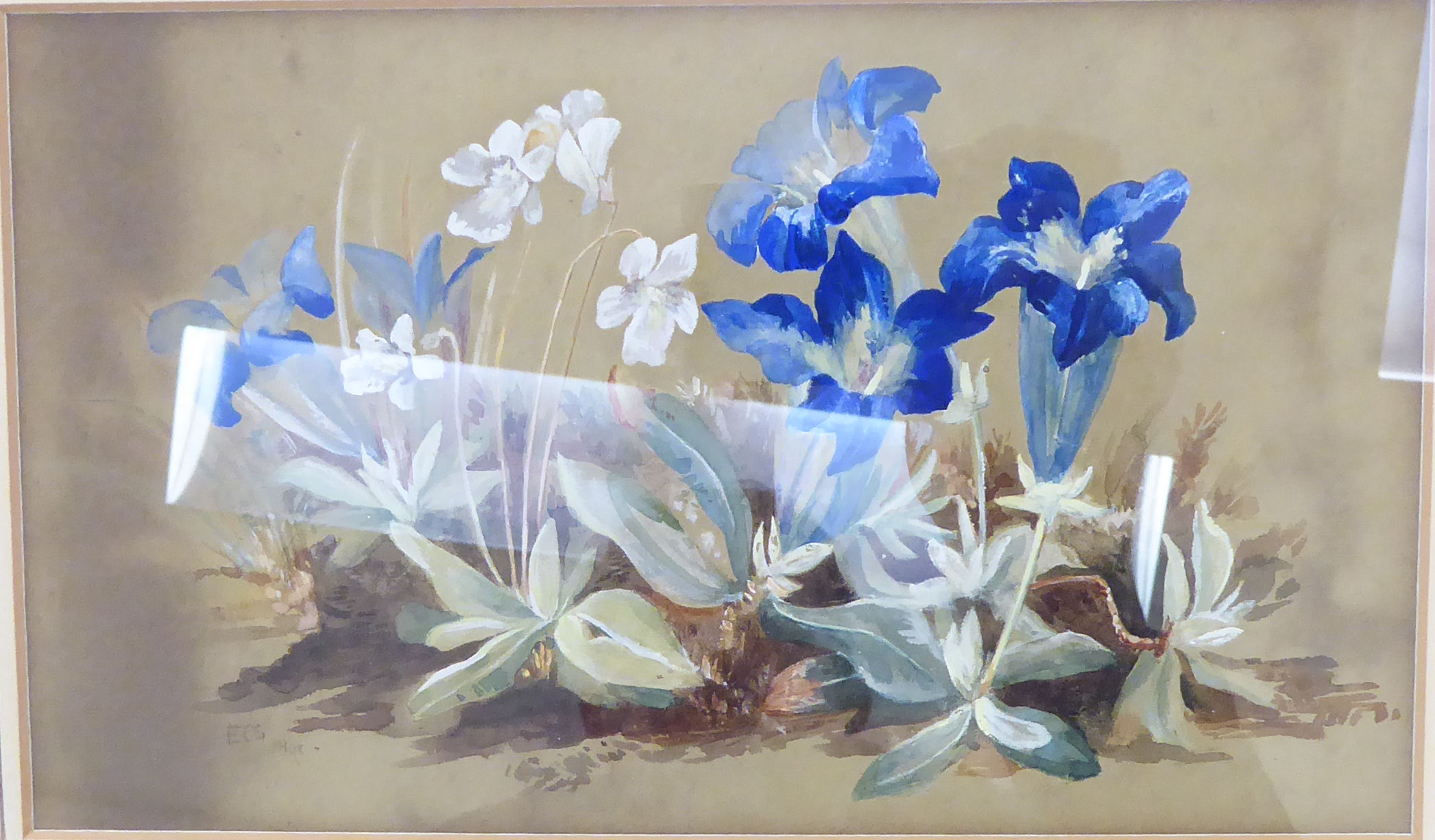 Late 19thC British School - a floral study watercolour bears initials ECS & dated 1890 5'' x 8. - Image 2 of 3