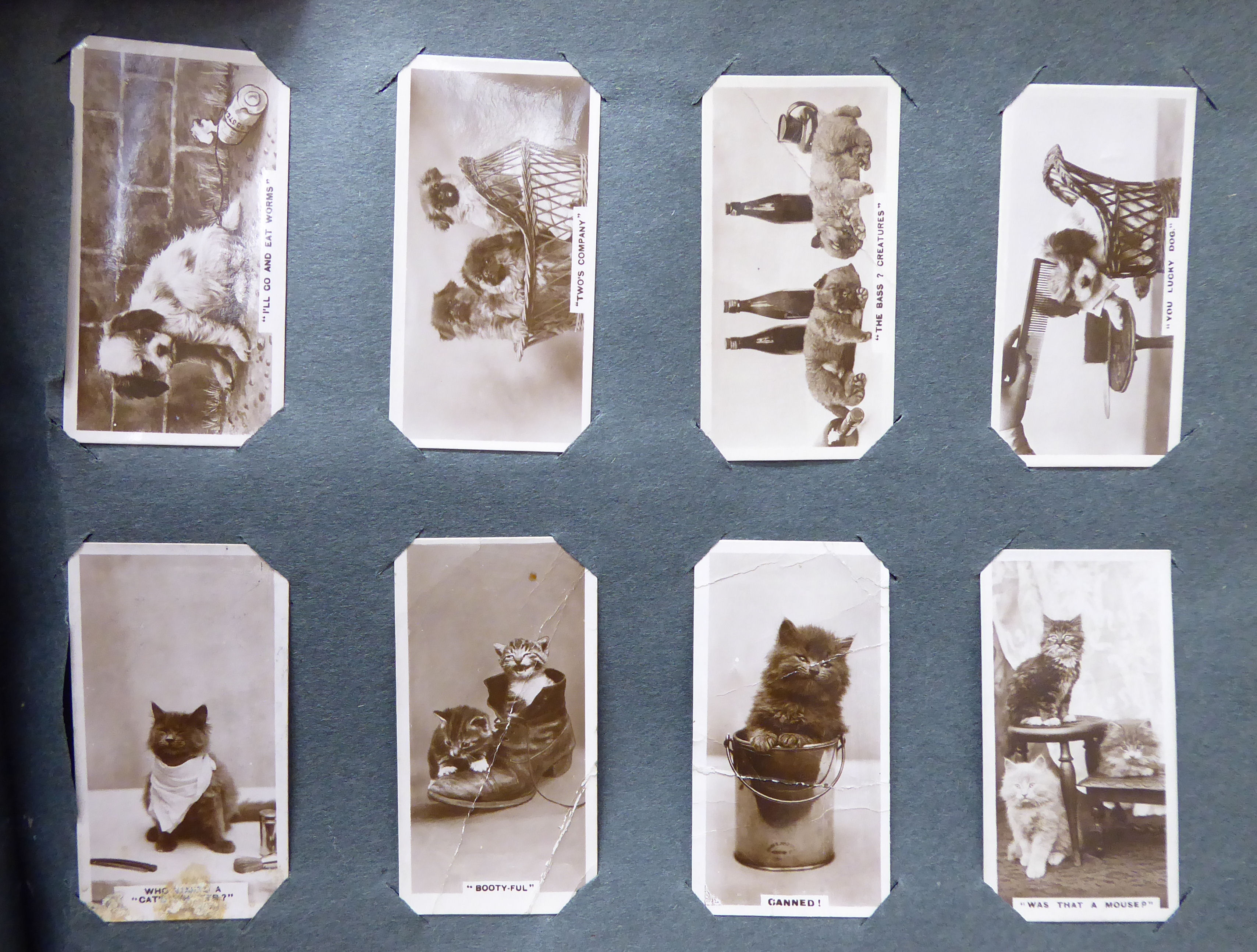 Printed ephemera: to include cigarette cards; postcards; - Image 3 of 3