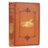 Baines (Thomas) THE GOLD REGIONS OF SOUTH-EASTERN AFRICA 240 pages (including 51 pages