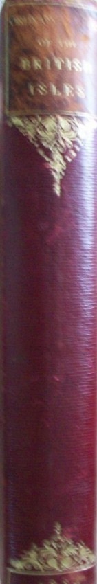 Anon New Large Scale Ordnance Atlas of the British Isles Original 1/2 dark red leather bound with - Image 2 of 4