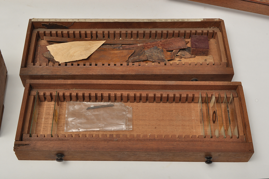 A burr walnut and specimen wood inlaid microscope slide cabinet, - Image 5 of 17