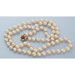 A cultured pearl necklace,