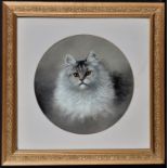 Late 19th Century British School Study of a cat, oil on board, 33.5cms; 13 1/4in. diameter.