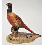 Royal Crown Derby bisque porcelain figure of a pheasant, inscribed "Brearley" to base recess,
