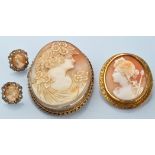 A 19th Century carved shell cameo brooch depicting a Bacchante, within yellow metal scrolling mount,