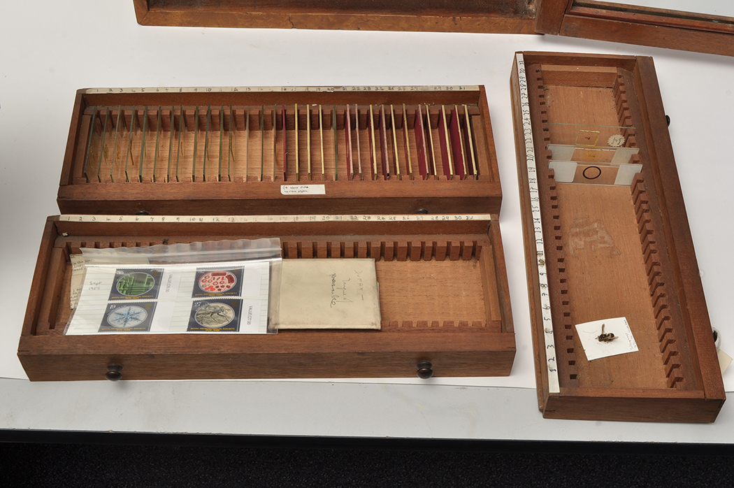 A burr walnut and specimen wood inlaid microscope slide cabinet, - Image 7 of 17