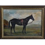 George Stirling-Brown (20th Century) A bay horse in a field, signed and dated 1929, oil on canvas,