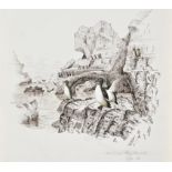 Thomas Dix (1830-1873) Original drawings of ornithology and landscape,