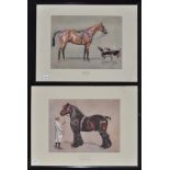 After Cecil Aldin - "Strength" and "Brains" - portraits of horses, colour photolithographs.