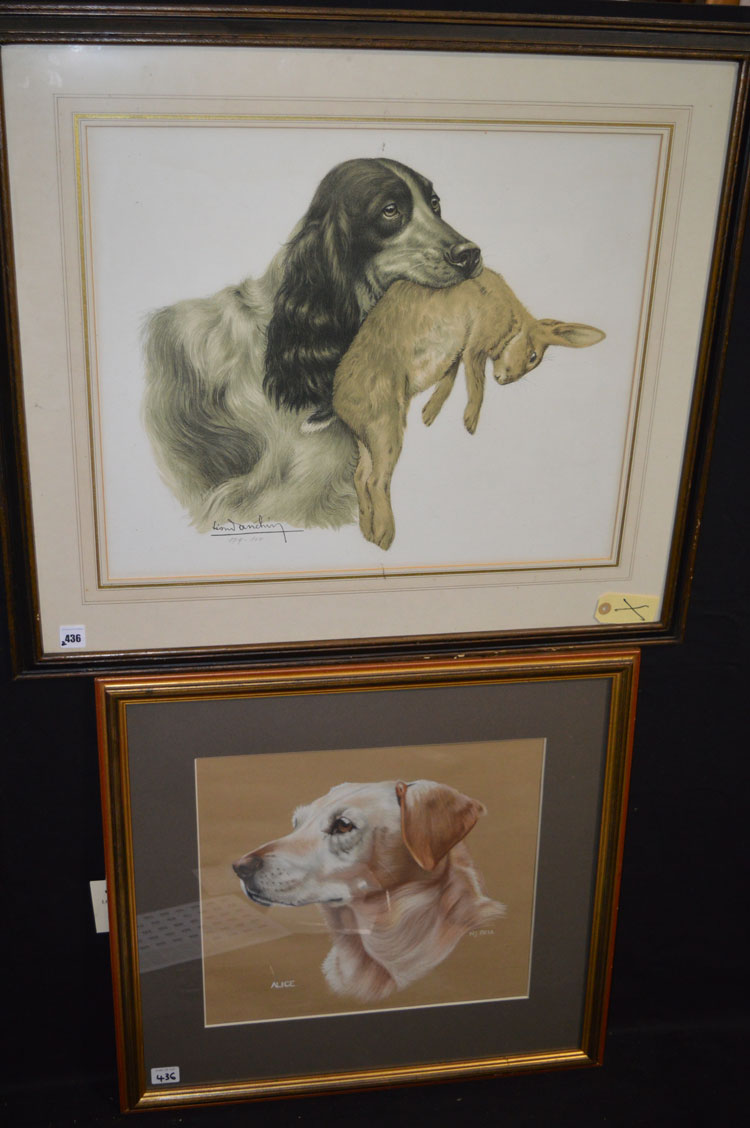 A chromolithograph, by Leon Danchin - English Setter holding a hare, no.