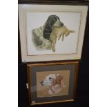 A chromolithograph, by Leon Danchin - English Setter holding a hare, no.
