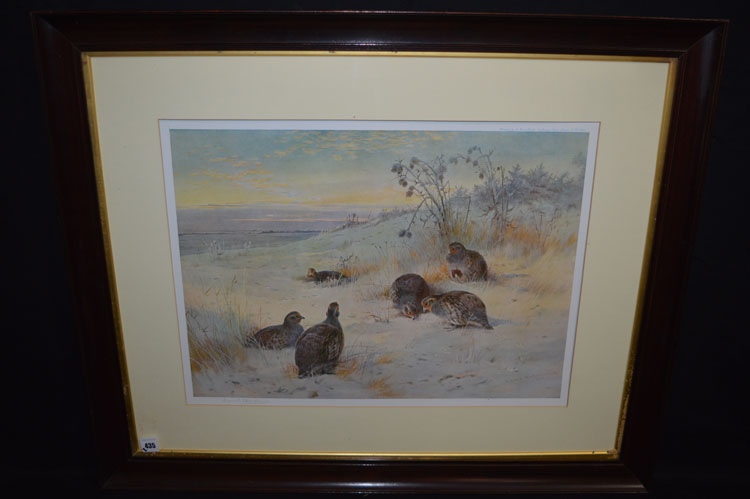 Signed colour prints, after Archibald Thorburn - "Pheasants" and "Partridge", published by A.
