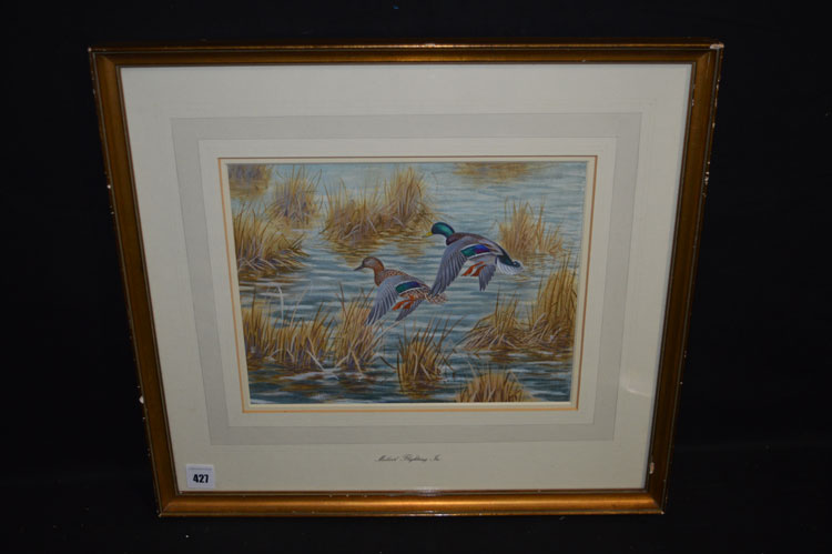 A watercolour, by John Baxendale - "Mallard Flighting In", signed,