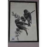 An original ink drawing, by James Alder - birds on a branch, signed,