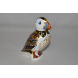 A Royal Crown Derby paperweight in the form of a Puffin, with gold coloured stopper.