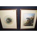 Watercolours, by John Duncan - a coal-tit, and an orange-legged hobby, signed,