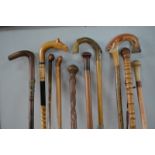 A bundle of nine walking sticks and canes,