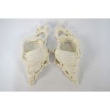 A pair of Victorian Royal Worcester porcelain wall pockets in the form of shells, impressed marks