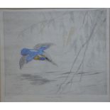 George Vernon Stokes (1873-1954) - Kingfisher in flight, hand-coloured etching, ltd ed 35/75, pencil