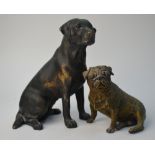 A Bergman cold-painted bronze pug, 8cm high to/w a patinated bronze labrador, 14 cm (2)